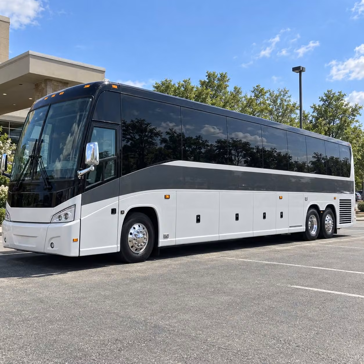 rochester prom party buses ride in style from pickup to after prom